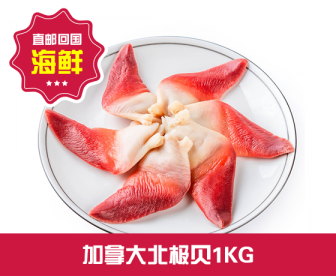 【直发回国】加拿大北极贝1KG 【直发回国】加拿大北极贝1KG